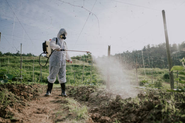 Best Pest Prevention Services  in Grants, NM