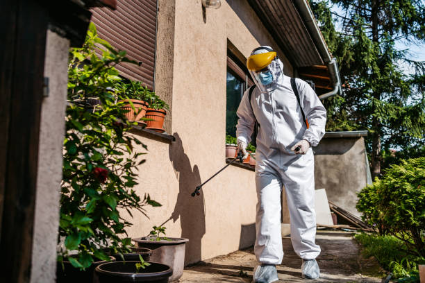 Best Best Pest Control Companies  in Grants, NM