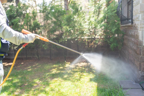Insect Control in Grants, NM
