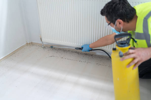 Best Best Pest Control Companies  in Grants, NM