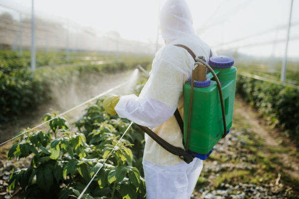 Best Bed Bug Extermination  in Grants, NM